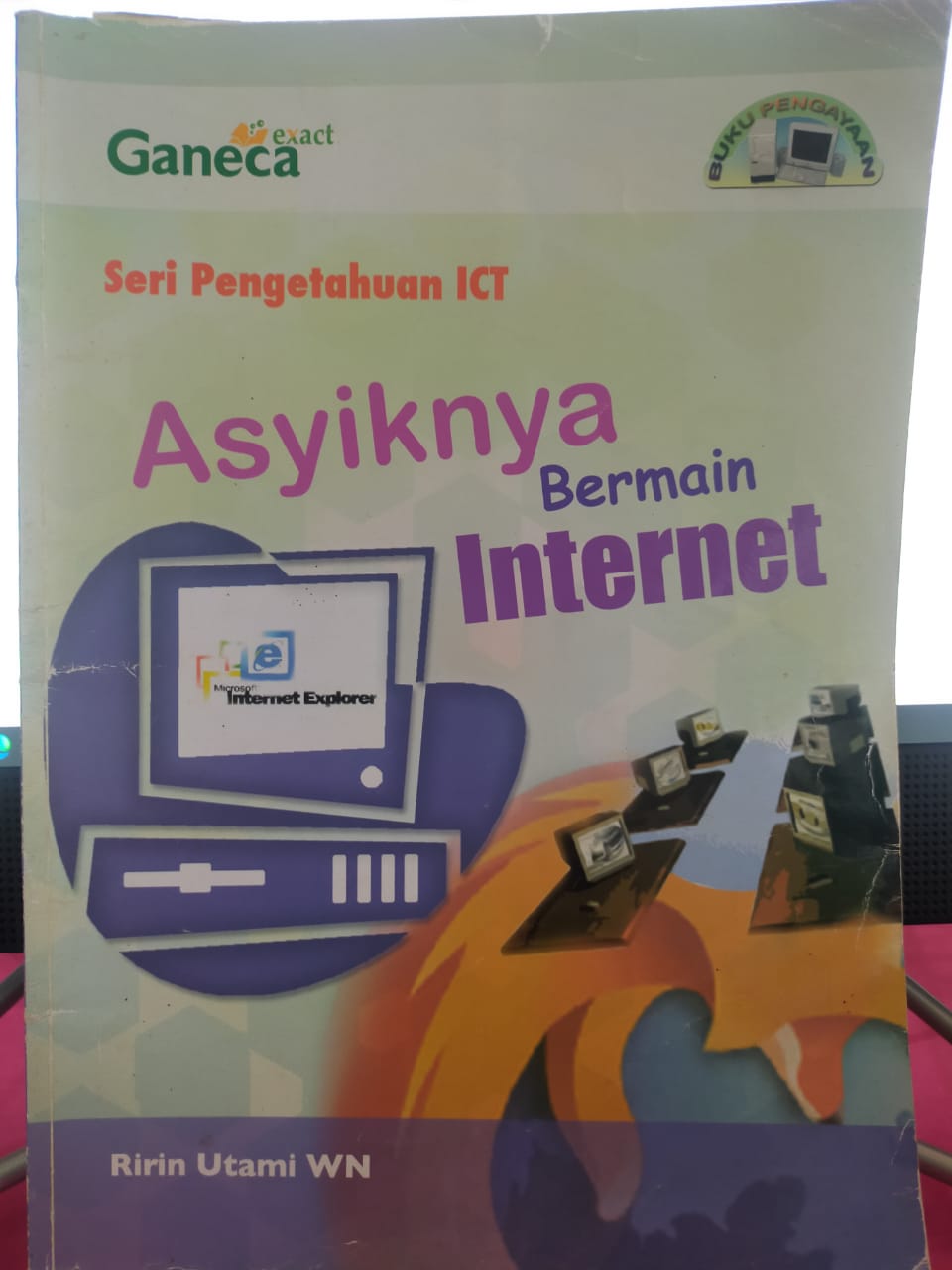 Asyiknya Bermain Internet